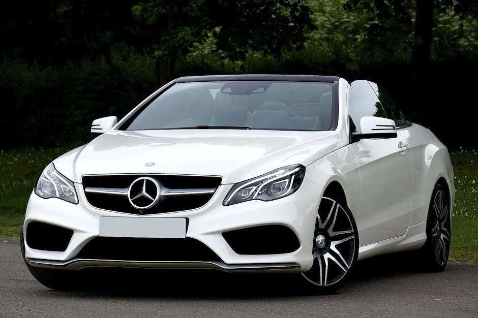 Luxury Motors of South Bay shop